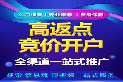 百度广告推广在旅游行业的成功案例